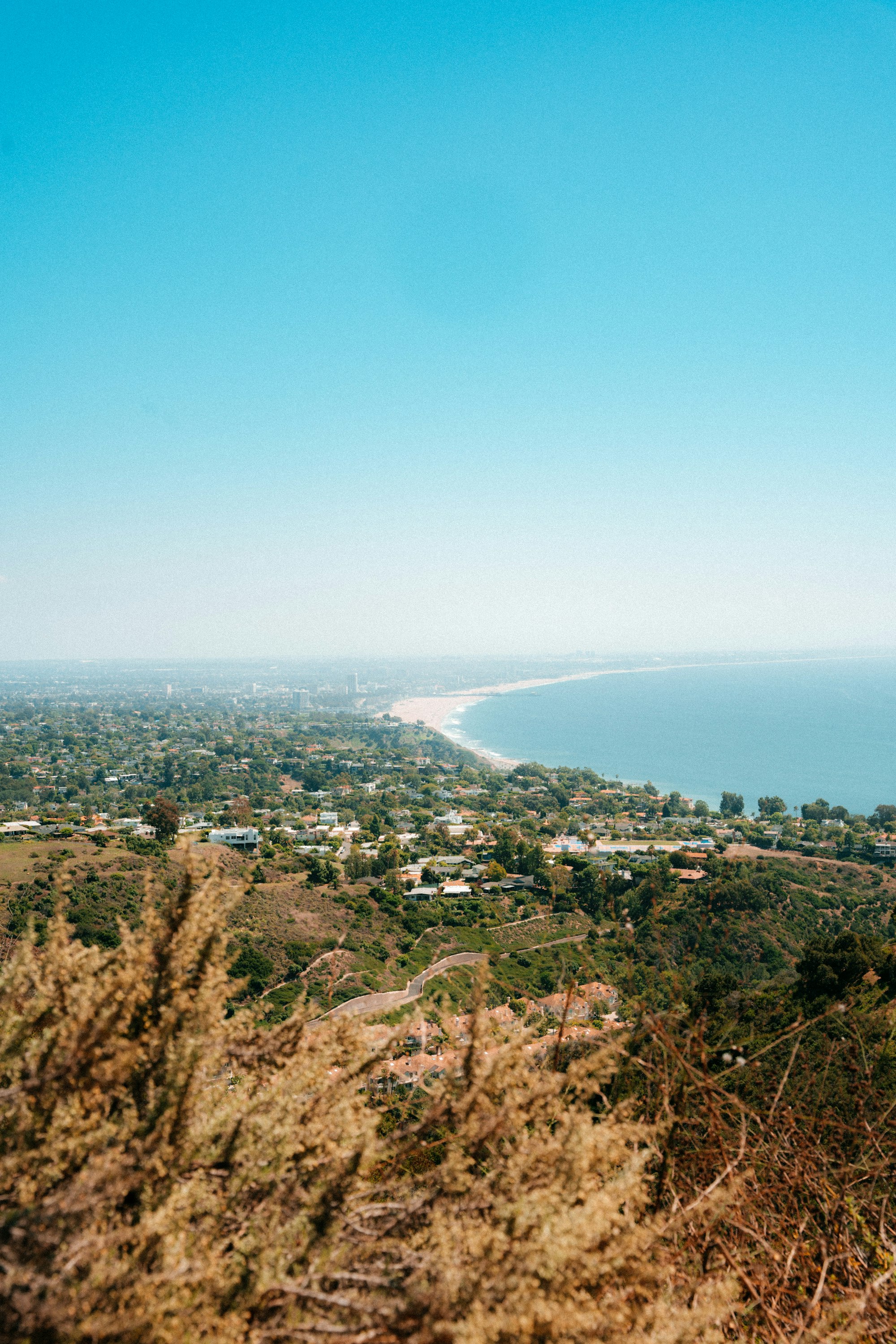 Professional home care services in Pacific Palisades, California