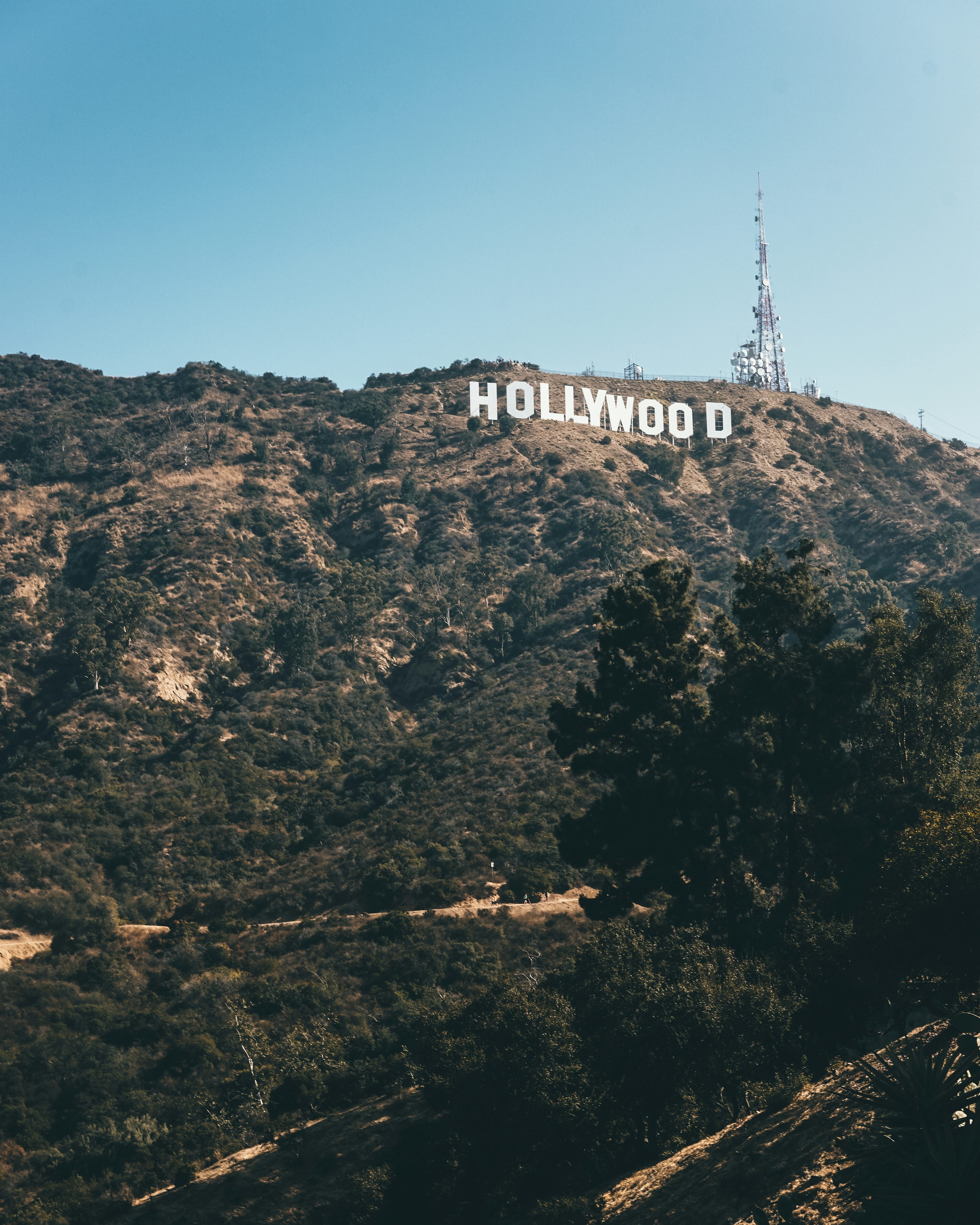 Professional home care services in Woodland Hills, California